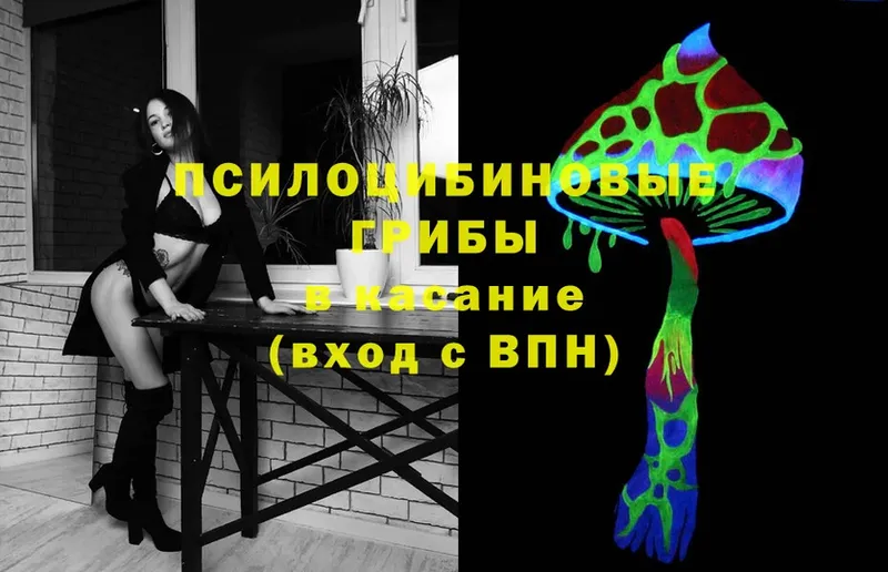 Псилоцибиновые грибы MAGIC MUSHROOMS Карабаново