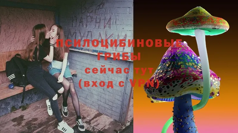 Галлюциногенные грибы Magic Shrooms  Карабаново 